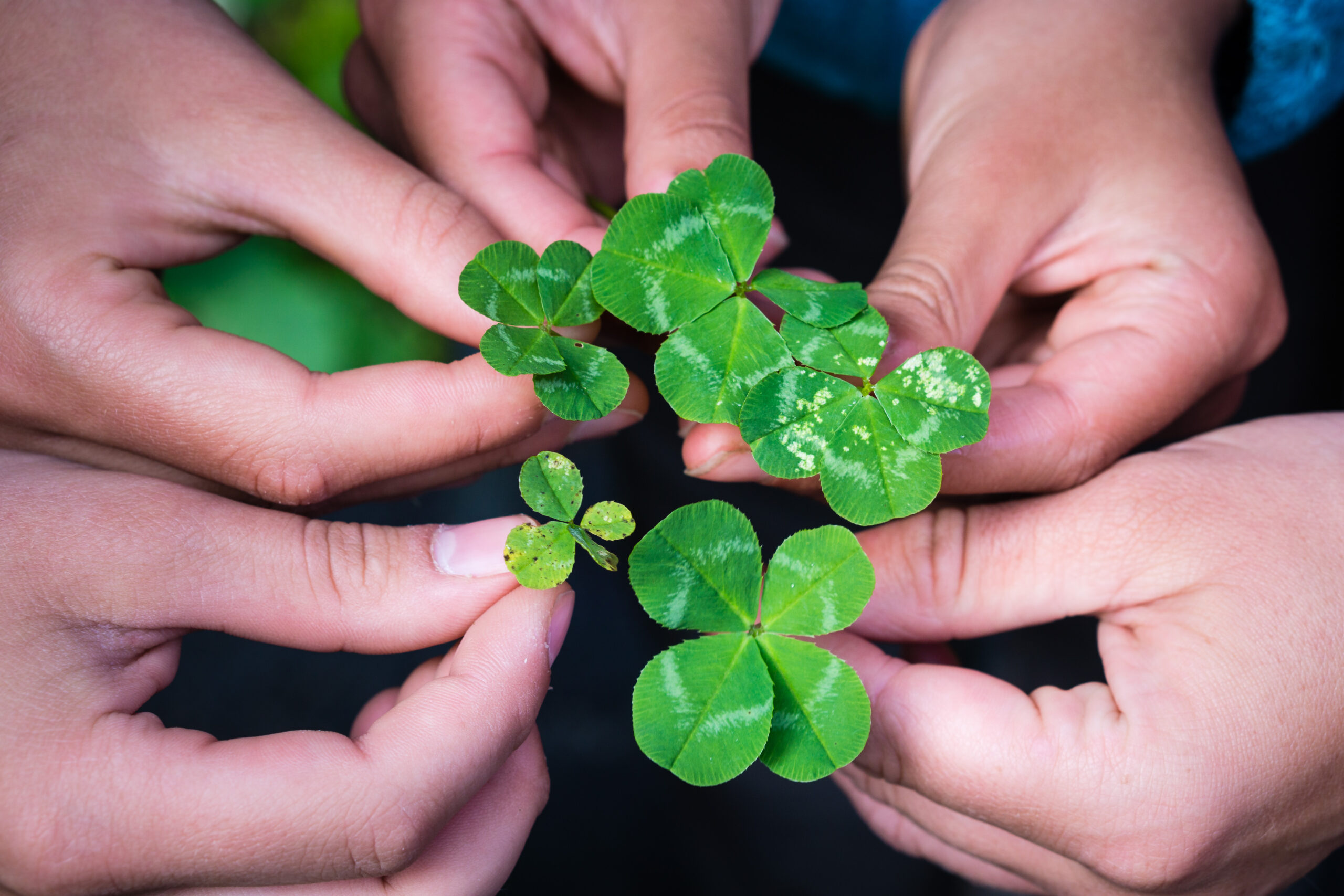 waldorfschulen mitte ost 05498
